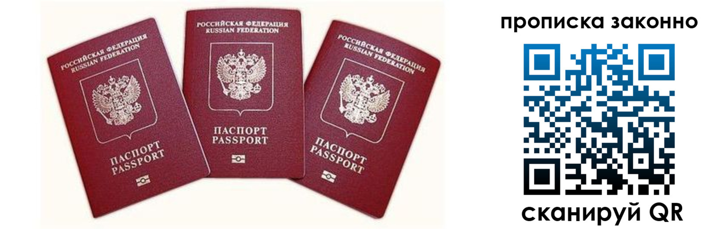 прописка законно в Ленинградской области